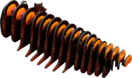 5f551f4ae62d09e8fd405d5c3070f44a.png