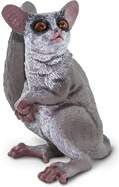 Safari® Galago klipan