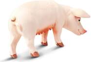 sow-837861000_crop_center.jpg