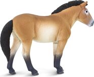 61bk19jhPGL._AC_SL1500_.jpg