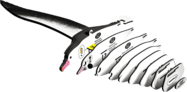 6f442dbd1b26d263c82a318862cb25dd.png