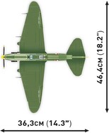 3623044185.jpg