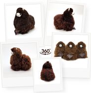 Imaogedgrr2.jpg