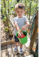 295_1.bucket.jpg