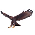 Mein Adler