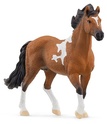 Schleich Hřebec Mangalarga Marchador