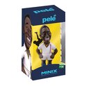 MINIX Football Icon: Pelé - POBEG V ZMAGO
