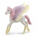 Pegasus Sunrise-Fohlen