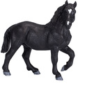 Moj Konj Percheron