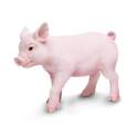 Safari® Cerdito