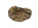 ATG terrario piscina TB-01 (22,5x18x6cm)