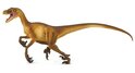 Safari® Velociraptor Dinosaurier