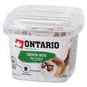 Delicacy Ontario jastučići za zube 75g