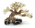 Bonsai Driftwood 20 x 15 x 16 cm Nr.28