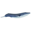 Safari® Ballena Azul
