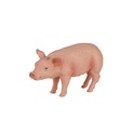 Mein Ferkel