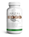 INVITAL Artemiaeier 95% 50g