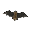 Fledermaus Dekoration 40 cm
