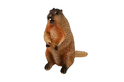 Figura Svisac 7,5 cm