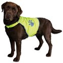 Gilet de sécurité pour chiens Vesta Trixie L