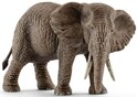 Elefant african femela