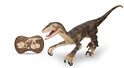 Raptor RC 45 cm