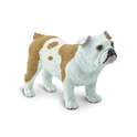 Safari® Pes Buldog