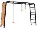 BERG PlayBase Large TL (Disc swing+Rings+Climbing wall)