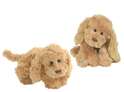 BK BUDDY psić (22 cm) srednji