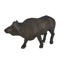 Bufalo africano Mojo