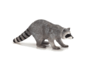 A macim