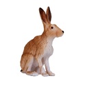 Mein Hase sitzt.
