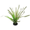 Decorazione Repti Planet Pianta erba Spartina 30cm