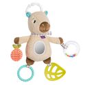 Activités capybara