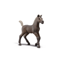 Schleich Kolekcionarsko ždrijebe Darcy