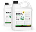 INVITAL Szén 5 liter