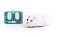 HEXBUG IR-Robotermaus