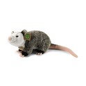 Zarigüeya de peluche 27 cm ECO-FRIENDLY