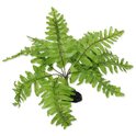Decorazione Repti Planet Pianta di felce Nephrolepis 20cm
