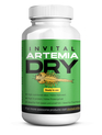 INVITAL Artemia Dry 50g