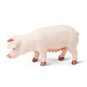 Safari® Cerdo