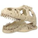 Decorat Craniu Repti Planet T-REX 13,3x8,5x9cm