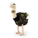 Autruche en peluche 33 cm ECO-FRIENDLY PLUSH WORLD