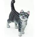 Safari® Chat domestique gris