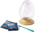 Dragonii de apă EggSpress