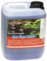 Femanga Algen Stop General für Riasy 5000 ml
