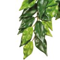 Decorazione Exo Terra Pianta tessile Ficus grande