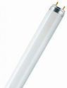 INVITAL UV žarnica 55W T8, G13 (za TMC)
