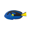 Safari® Blauer Doktorfisch