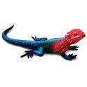 Safari® Agama mwanza